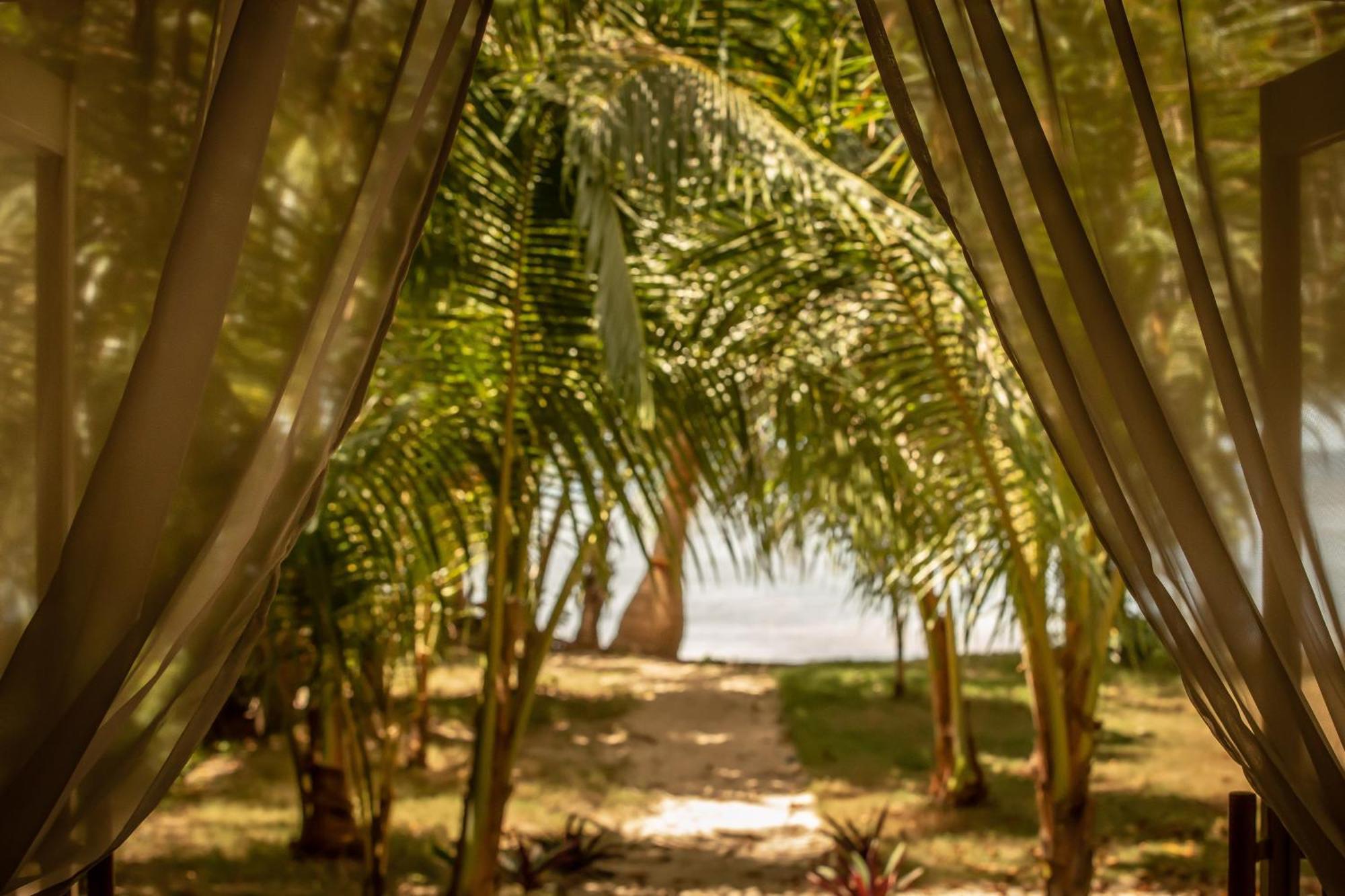 The Beach House Ocam Ocam Busuanga Exteriér fotografie